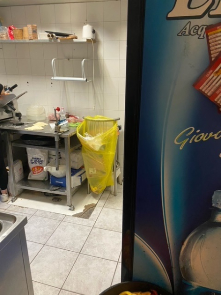 image1.jpeg