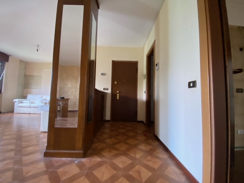 image2.jpeg