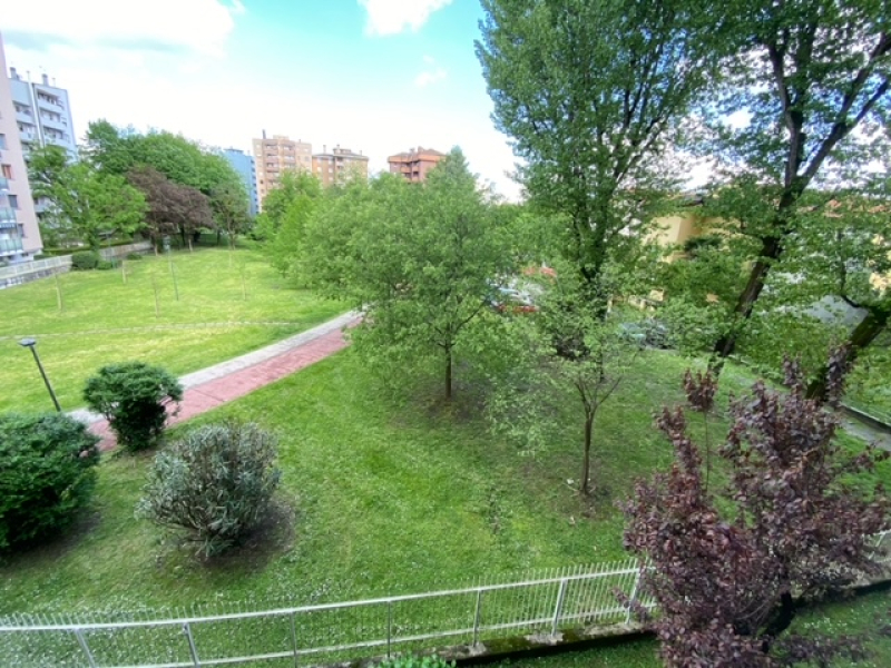 image9(1).jpeg