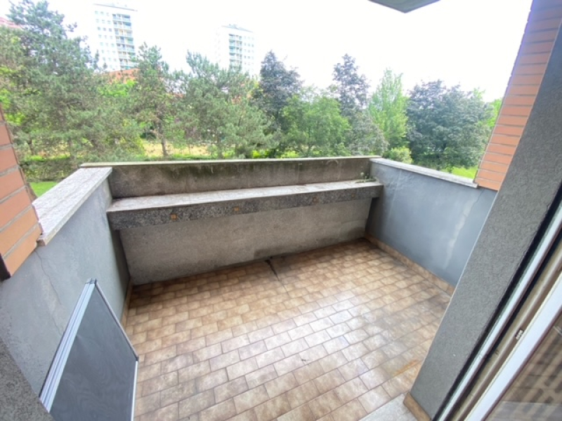 image7.jpeg